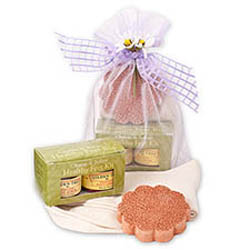 Gilden Tree - Try-Me Home Pedicure Kit - Kiran Forest