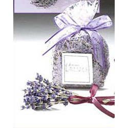 Sonoma Lavender - Lavender Flower Buds