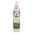 Shea Terra - Moroccan Mint Vanilla Silk & Shea Body Lotion